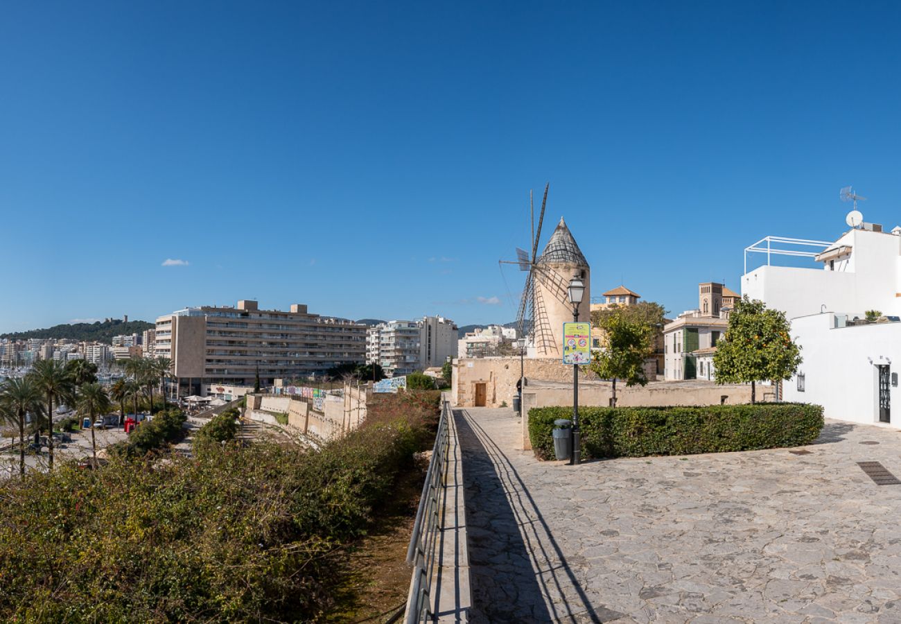 Apartment in Palma de Mallorca - Moli 37