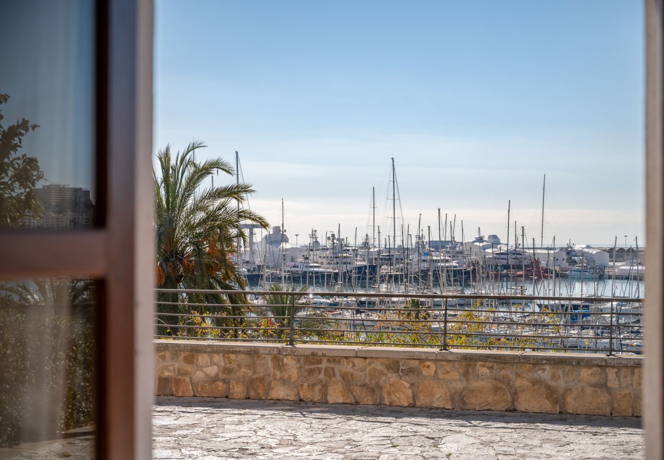 Apartment in Palma de Mallorca - Moli 37