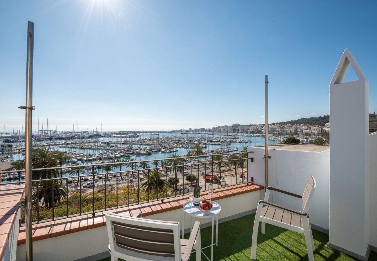 Apartment in Palma de Mallorca - Moli 37