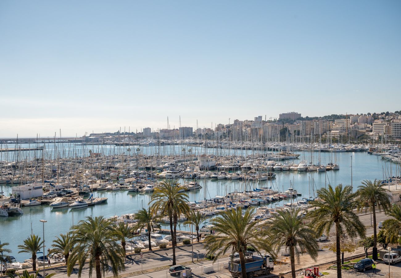 Apartment in Palma de Mallorca - Moli 37