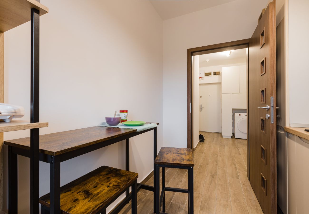 Apartment in Timisoara - Apartment Ensity with balcony