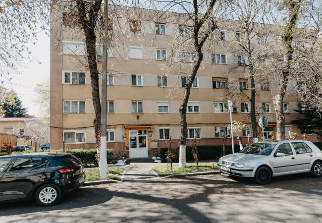 Apartment in Arad - 1BDR Central Apartment in Arad