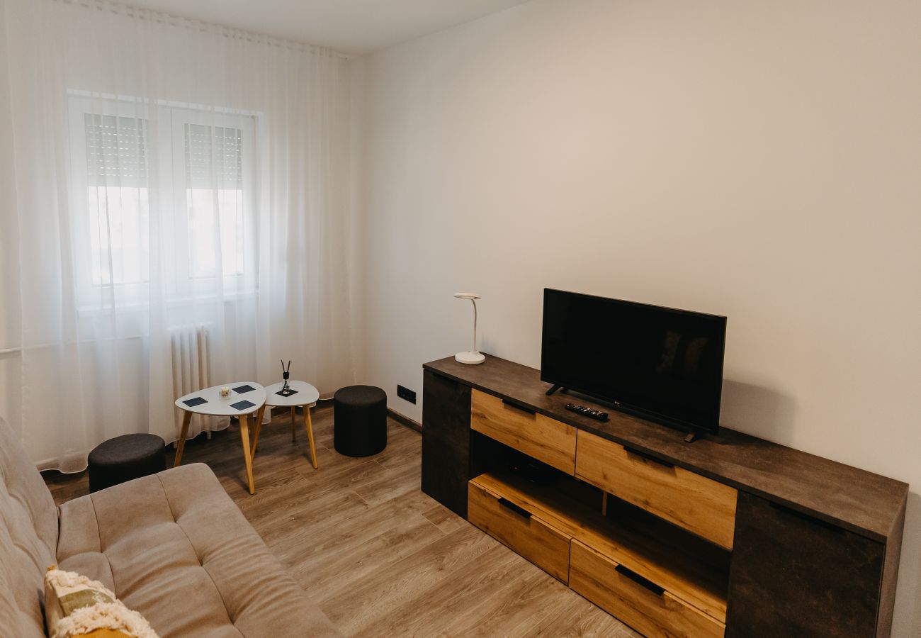 Apartment in Arad - 1BDR Central Apartment in Arad