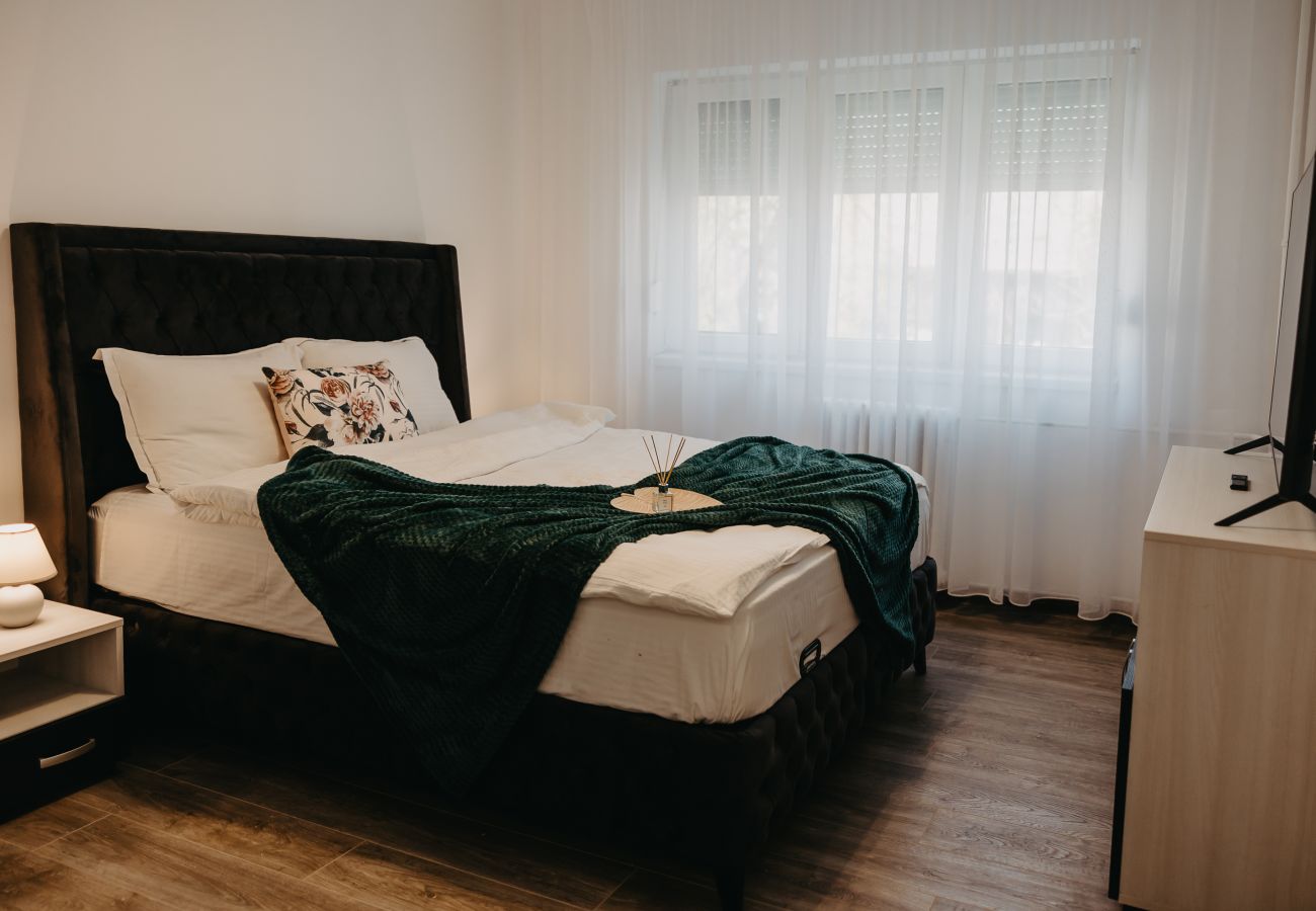 Apartment in Arad - 1BDR Central Apartment in Arad