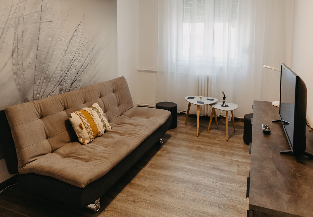 Apartment in Arad - 1BDR Central Apartment in Arad