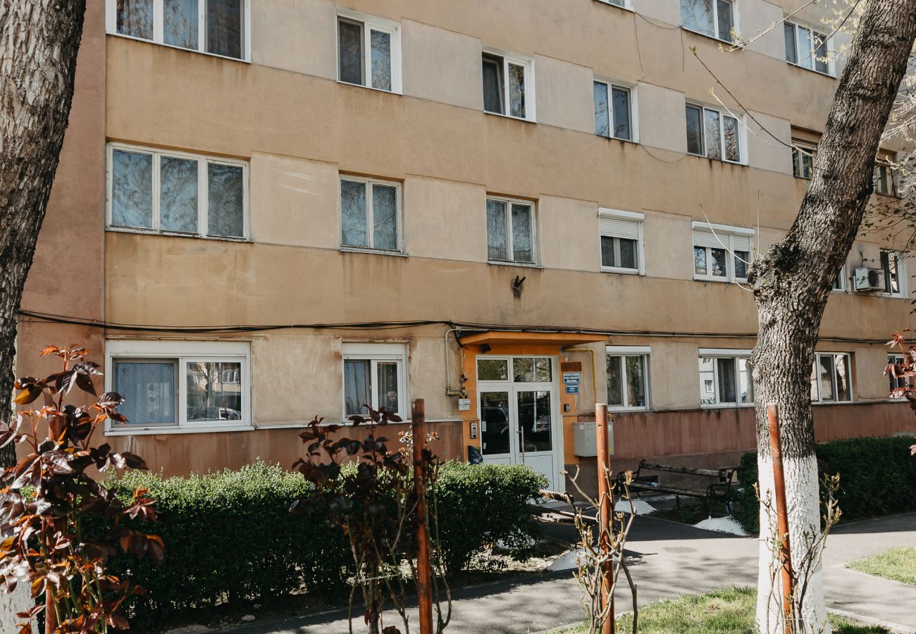 Apartment in Arad - 1BDR Central Apartment in Arad