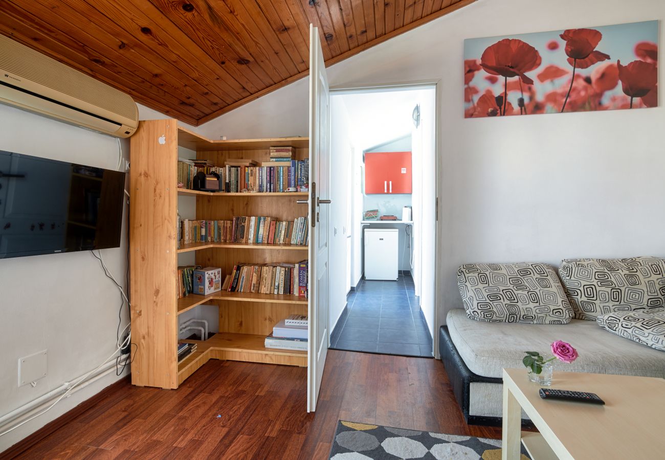 Apartment in Constanta - Walter  Apartment