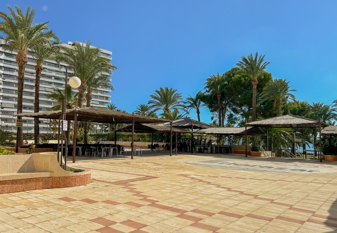 Apartment in Cullera - FLORAZAR