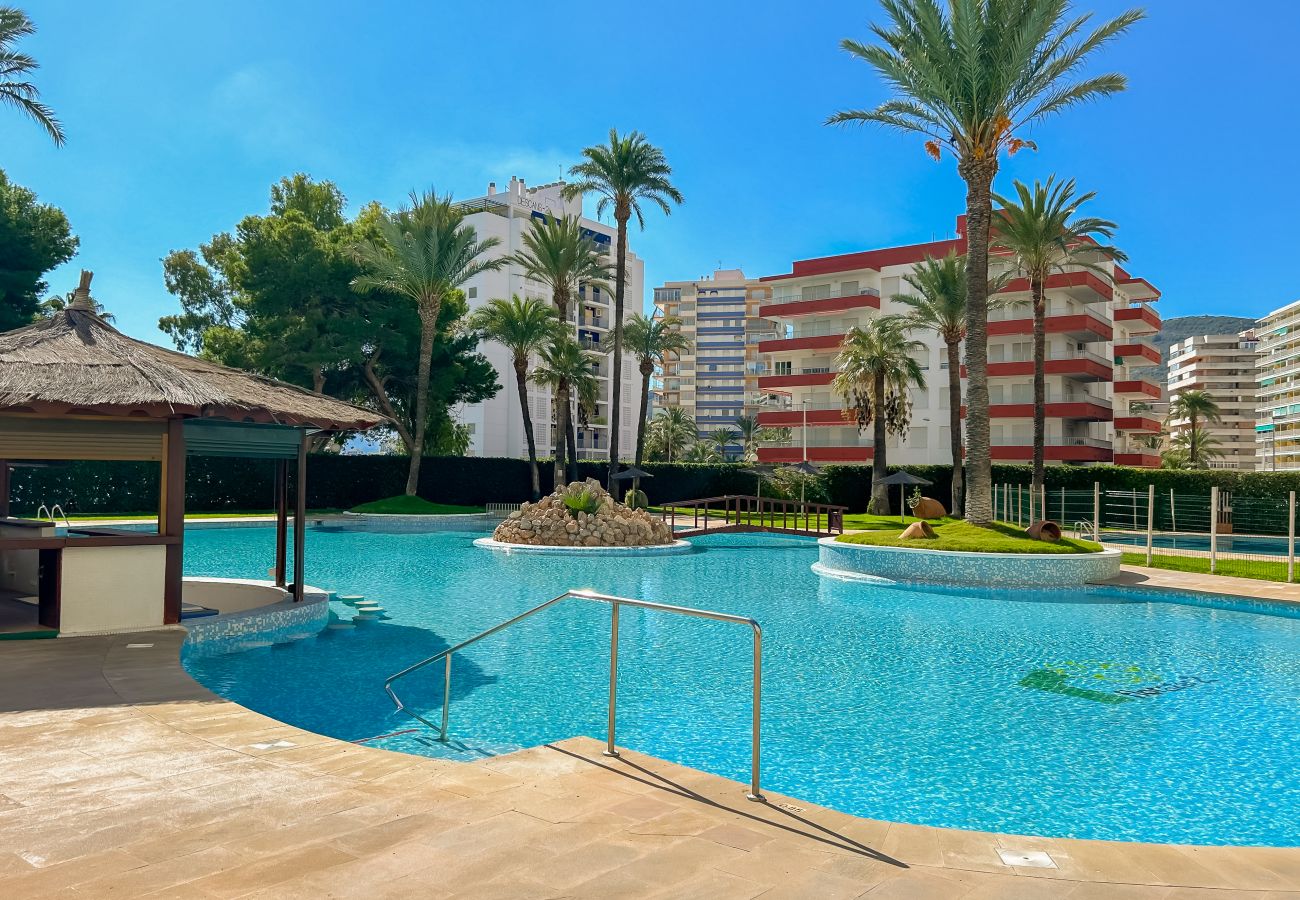 Apartment in Cullera - FLORAZAR