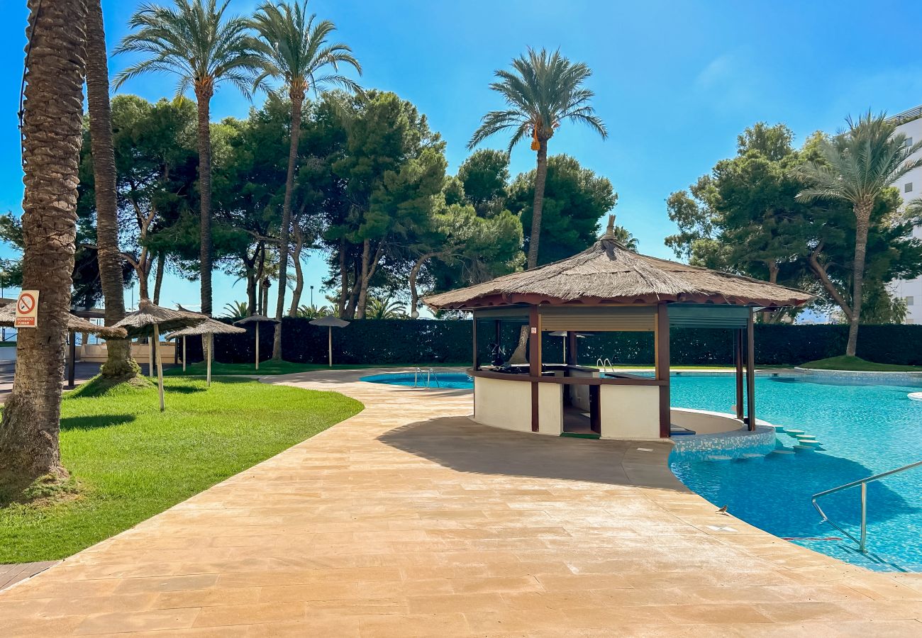 Apartment in Cullera - FLORAZAR