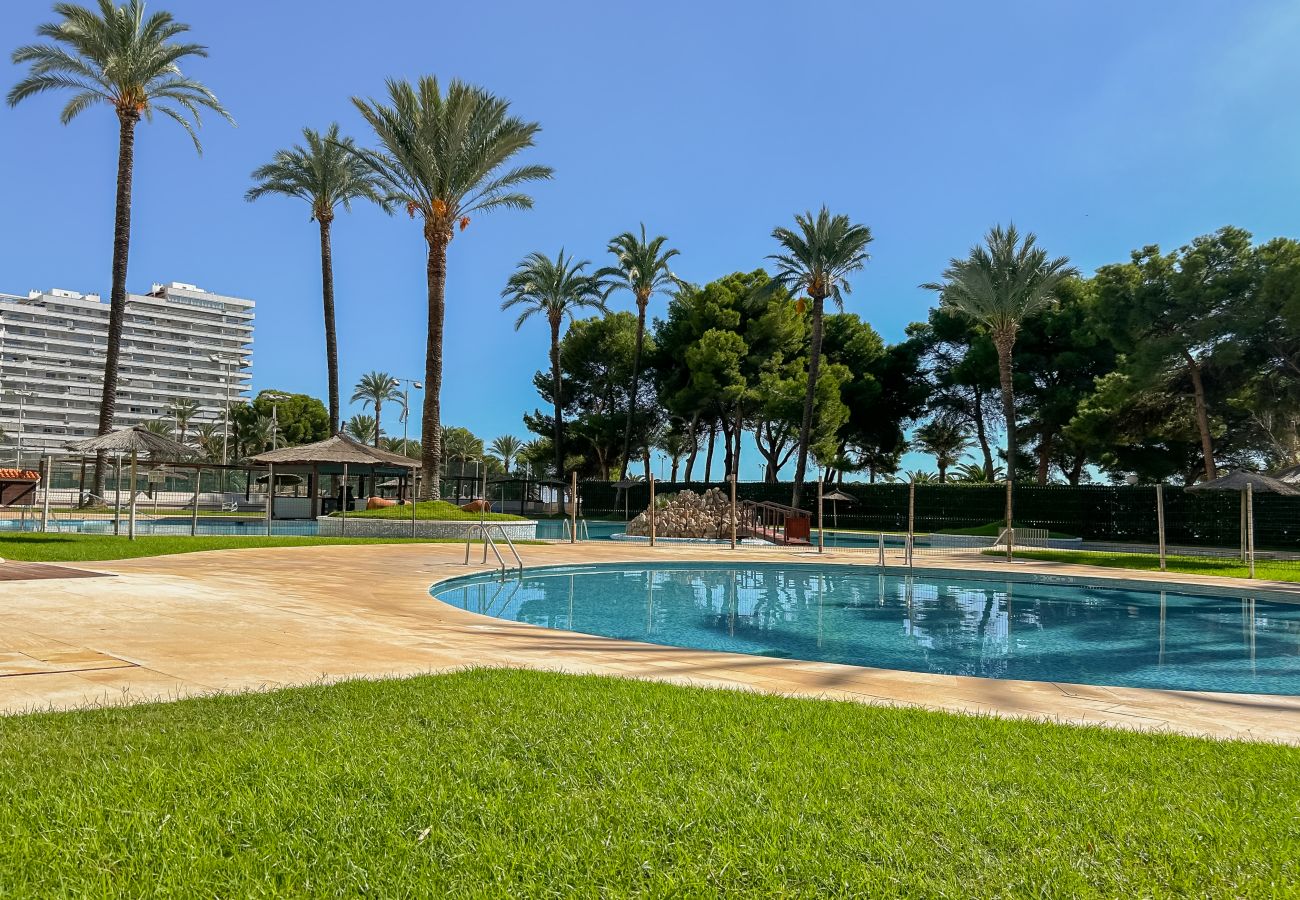 Apartment in Cullera - FLORAZAR