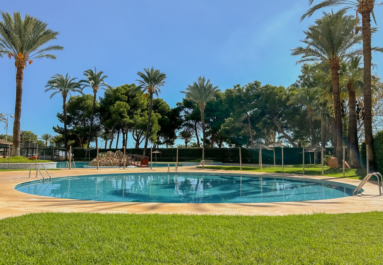 Apartment in Cullera - FLORAZAR