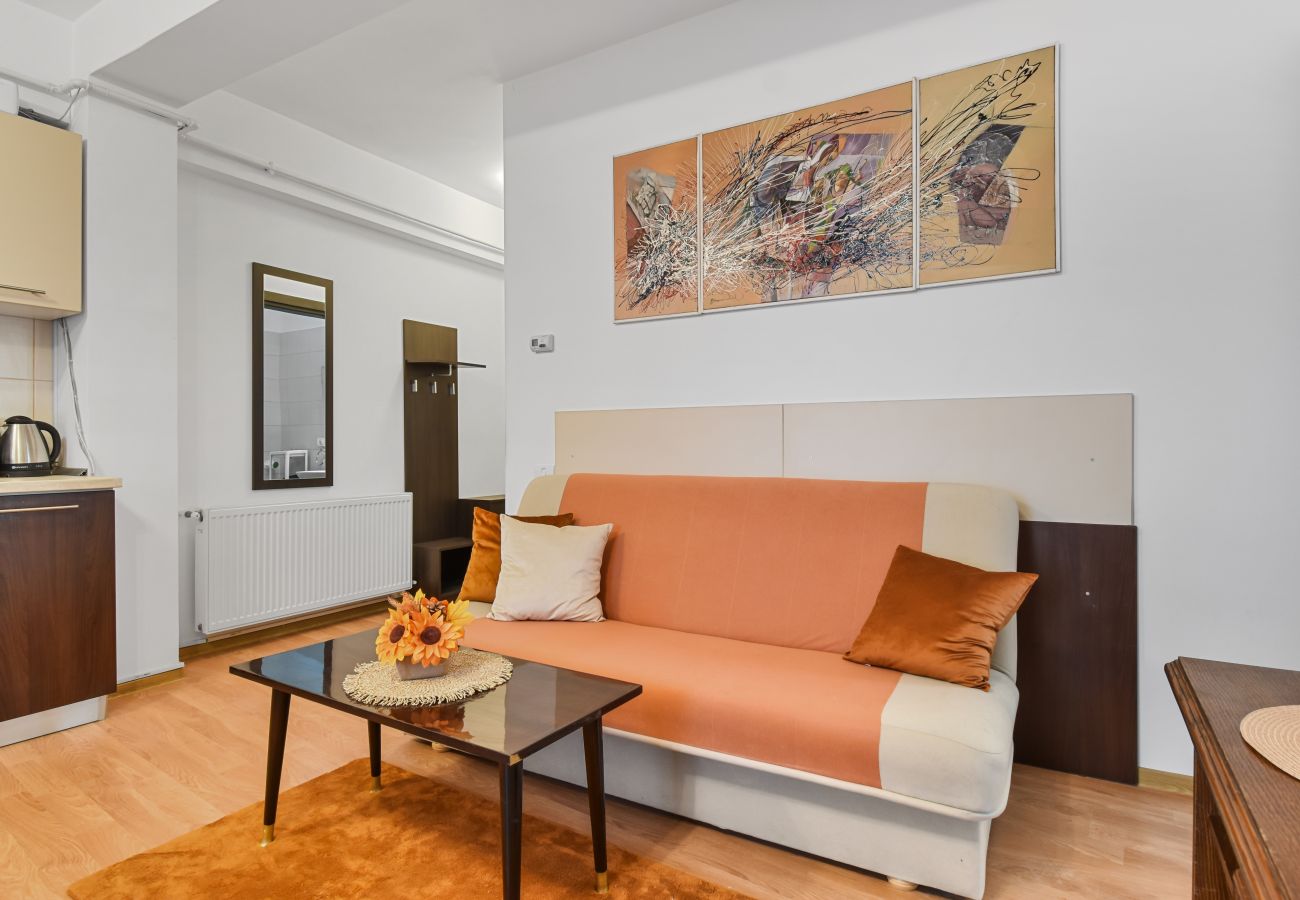 Apartment in Bucharest - Sabinelor 2BDR with two balcony