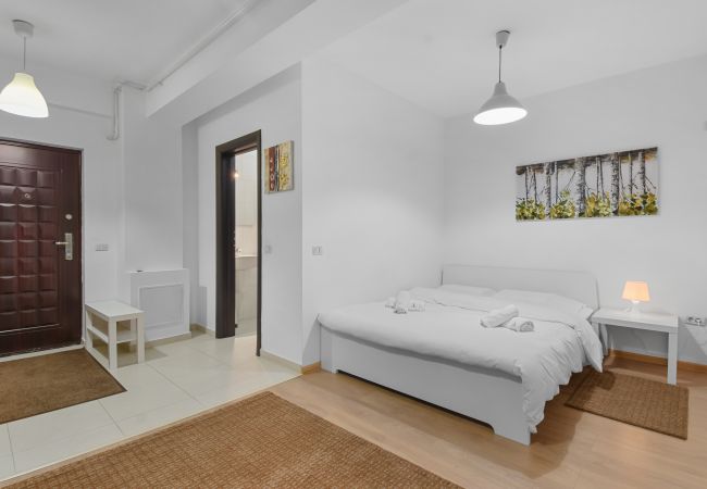 Chiajna - Studio