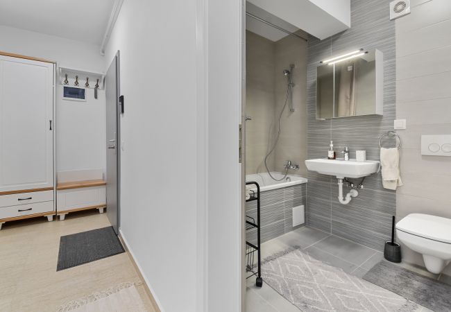 Apartment in Brasov -  Karina 2BDR  Apartment Apartment in Brasov -  Karina 2BDR  Apartment