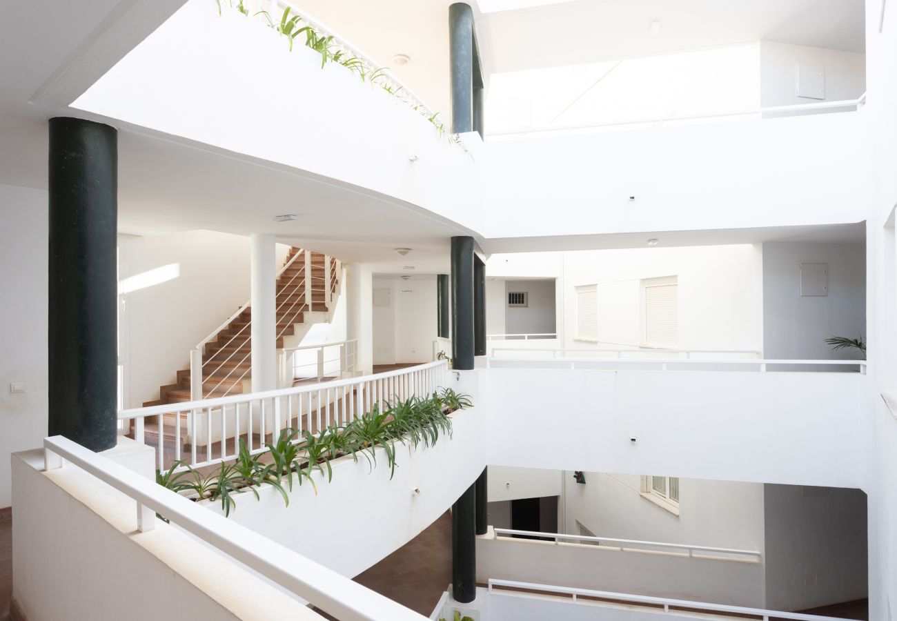 Apartment in Puerto de la Cruz - Lightbooking Puerto De La Cruz Tenerife