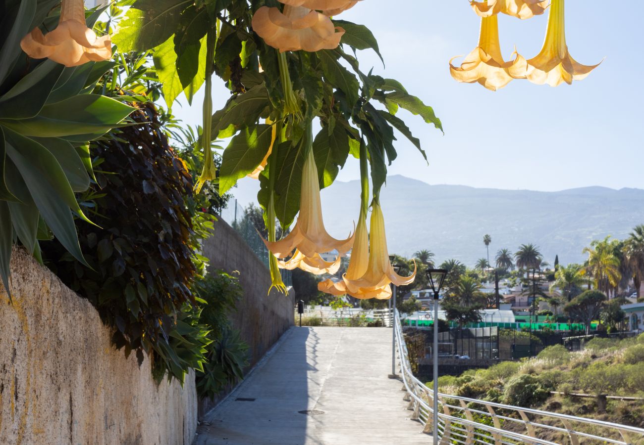 Apartment in Puerto de la Cruz - Lightbooking Puerto De La Cruz Tenerife