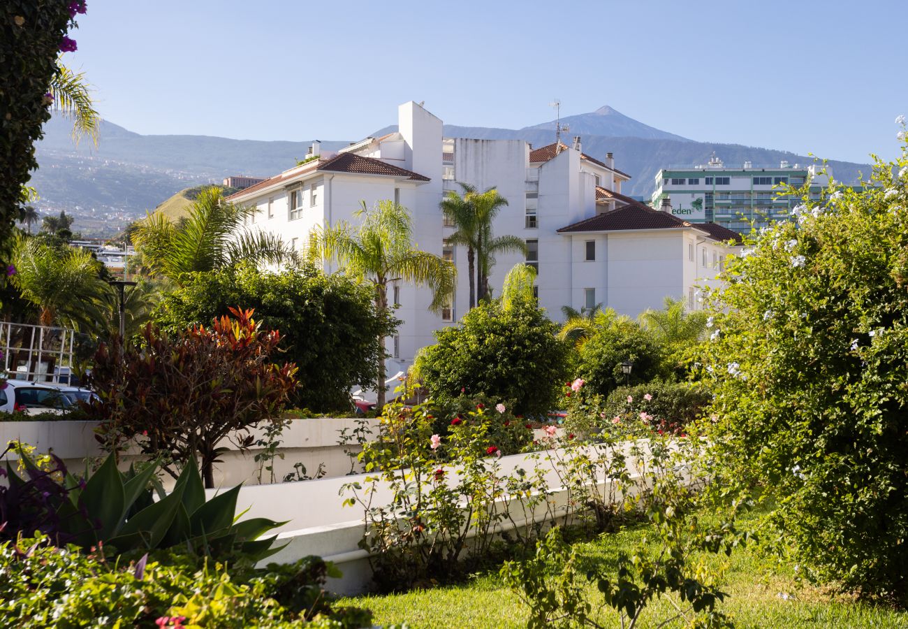 Apartment in Puerto de la Cruz - Lightbooking Puerto De La Cruz Tenerife