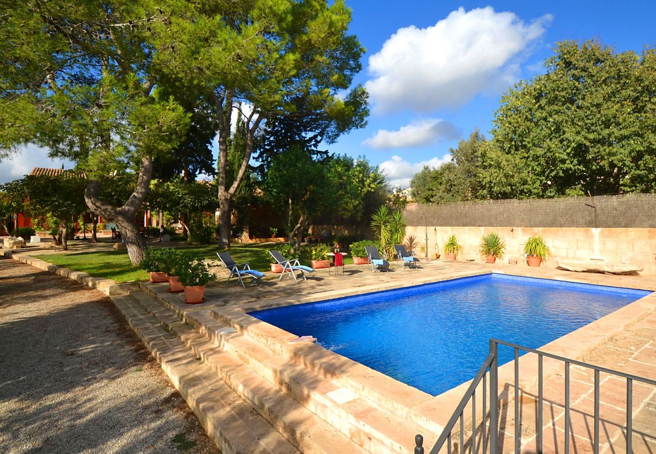 Villa in Consell - Villa Cas Cosinet by PriorityVillas