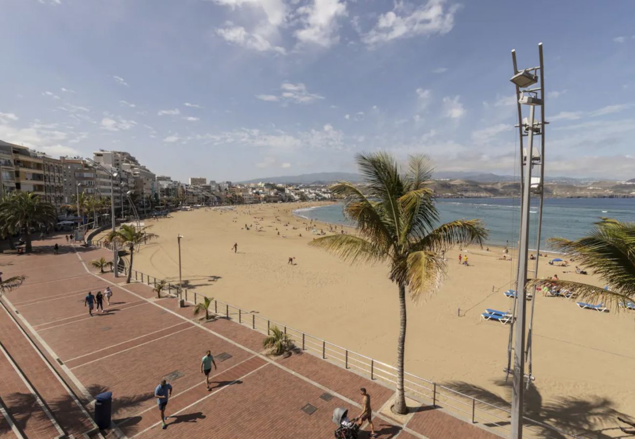 Studio in Las Palmas de Gran Canaria - Nuevos Lightbooking Livian Suites Las Palmas