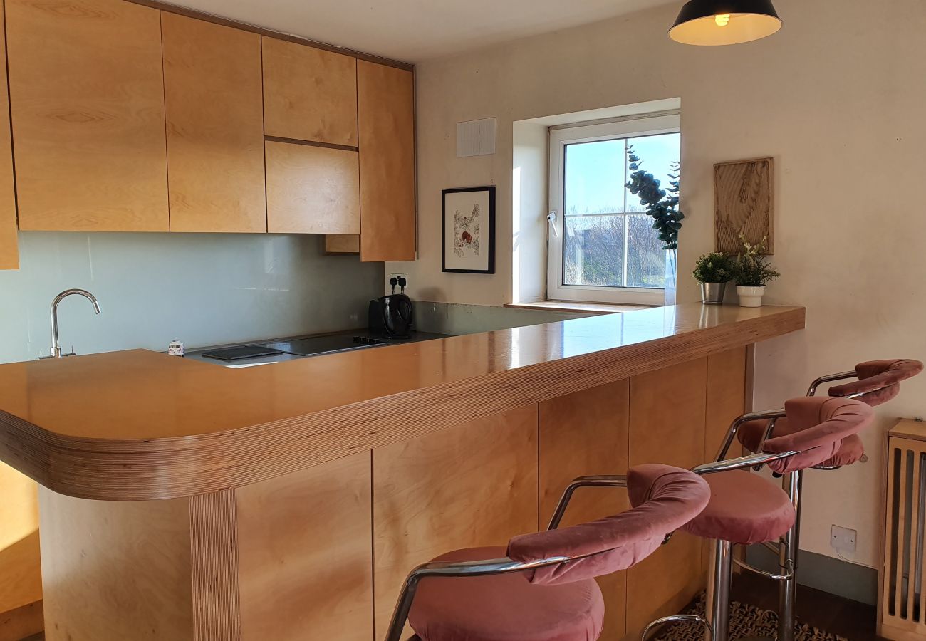 Apartment in Dublin - Milltown Apartment