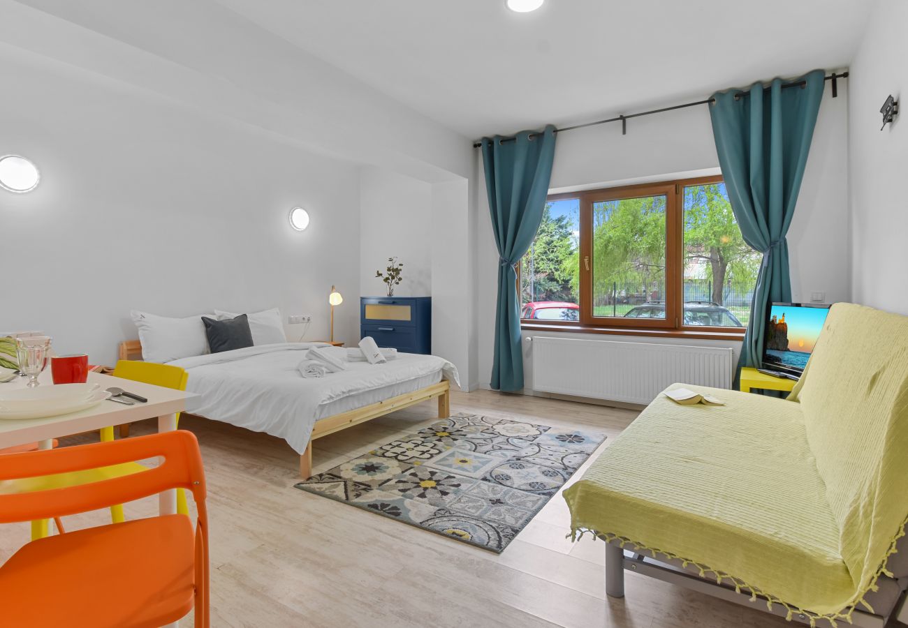 Studio in Otopeni -  Studio Apartment by homestay.ro