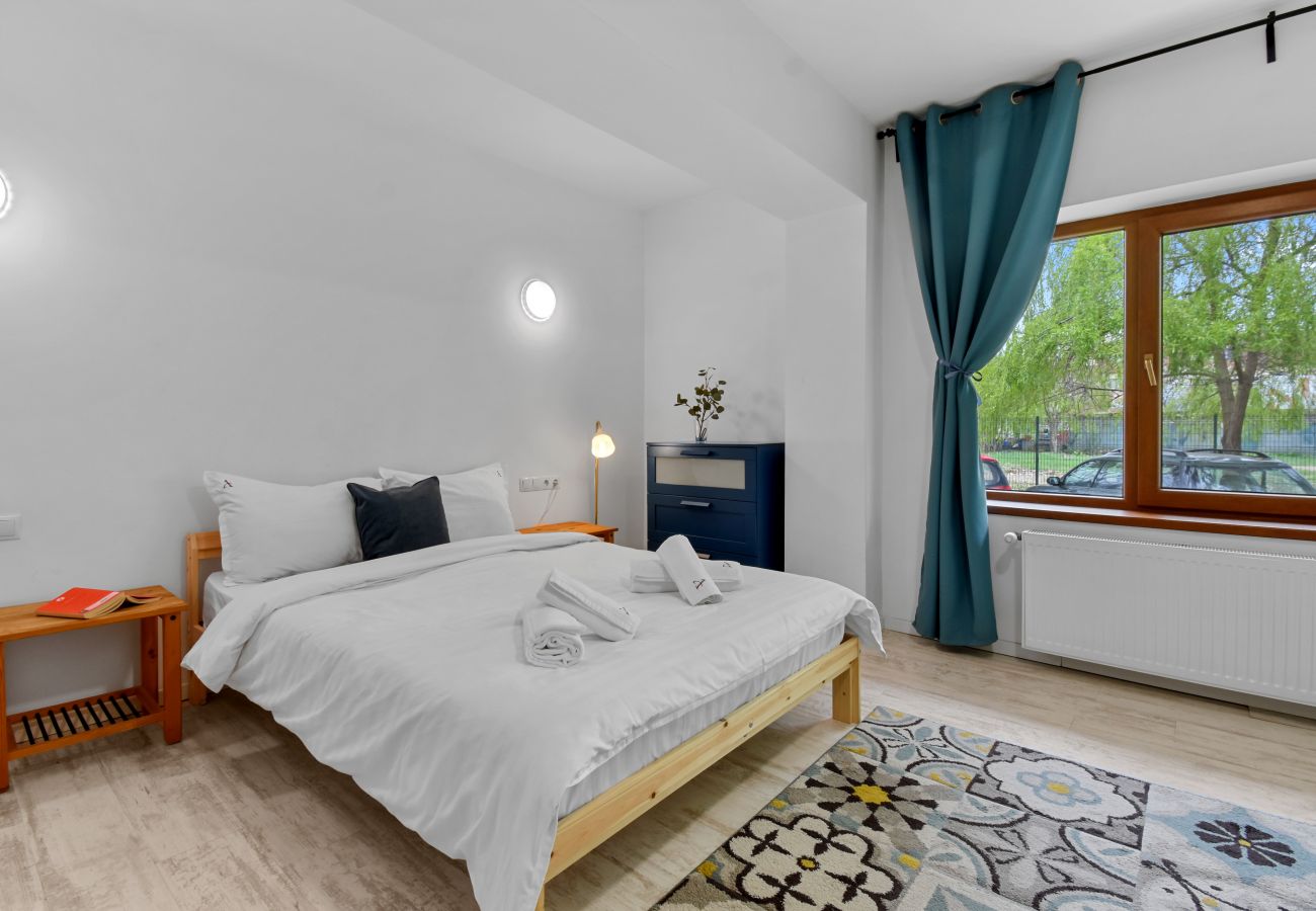 Studio in Otopeni -  Studio Apartment by homestay.ro
