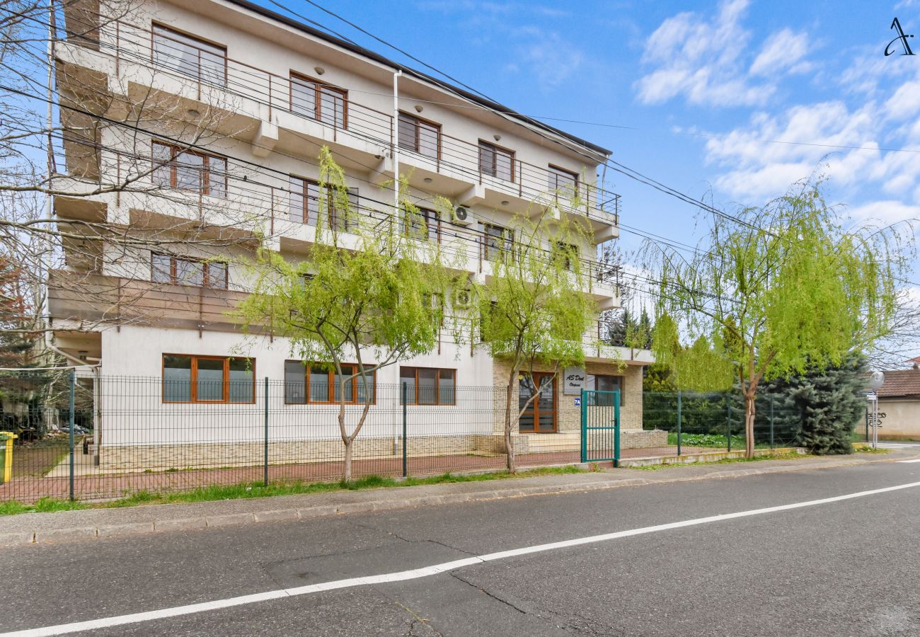 Studio in Otopeni -  Studio Apartment by homestay.ro