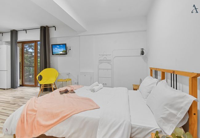 Otopeni - Studio