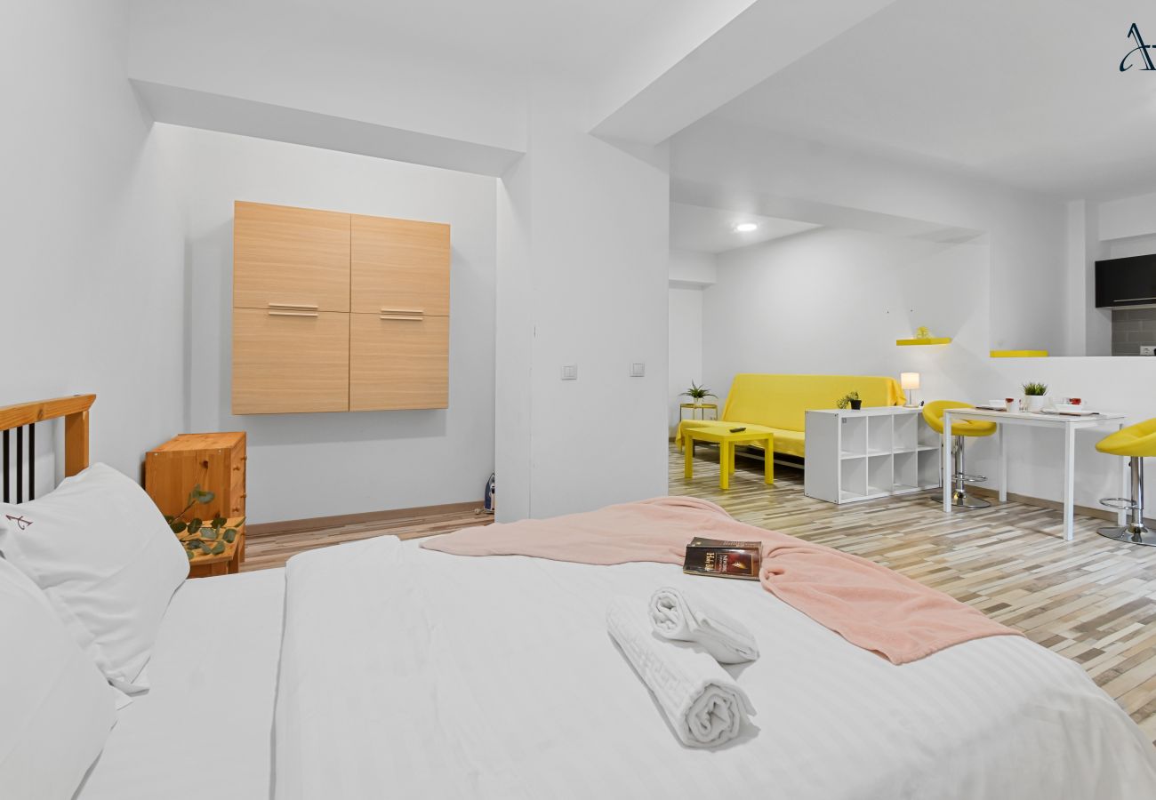 Studio in Otopeni - Double Studio by homestay