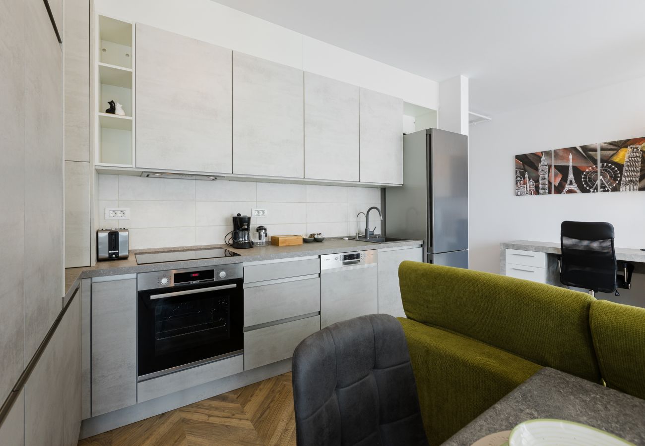 Apartment in Timisoara - Nord One Comfort