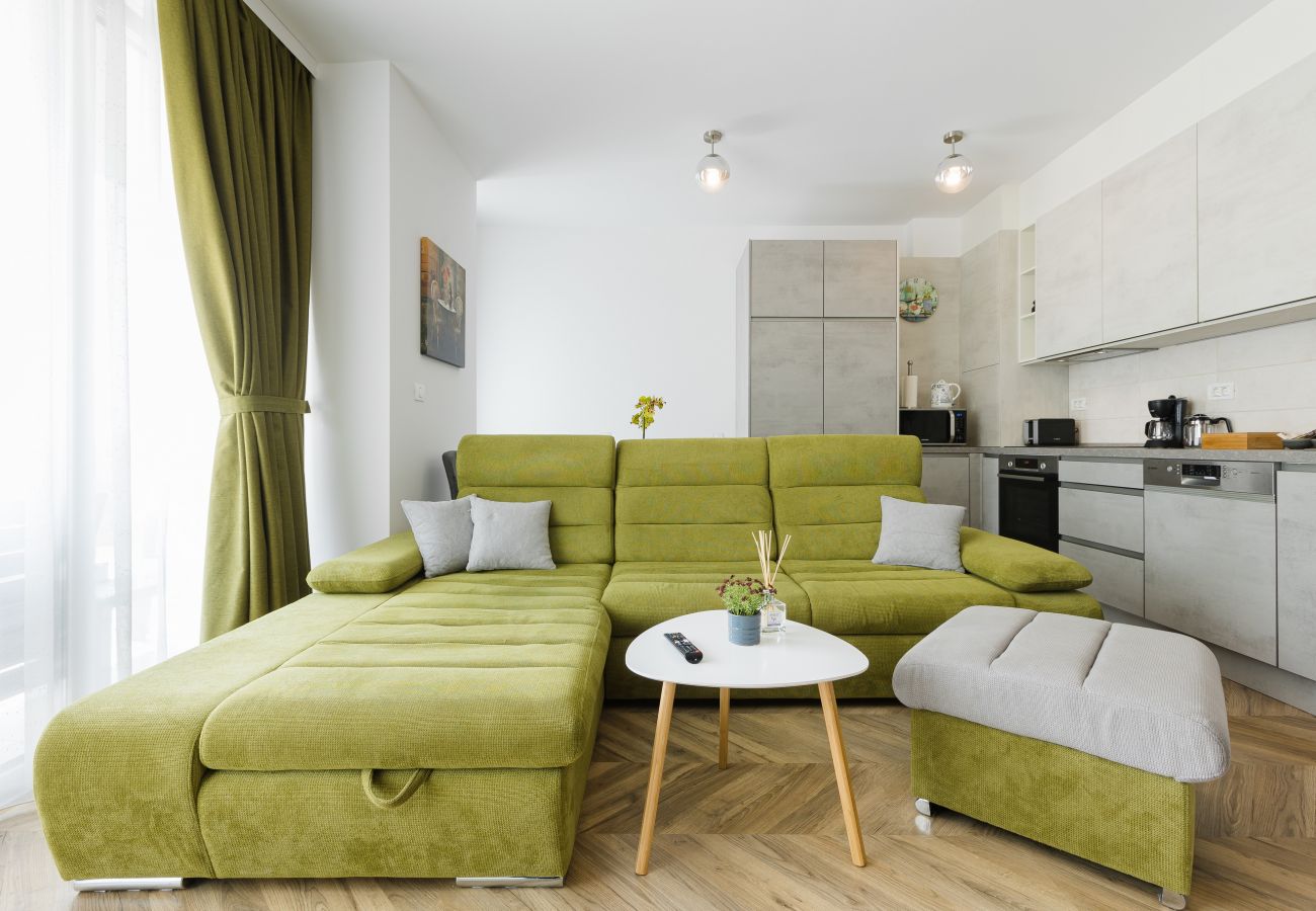 Apartment in Timisoara - Nord One Comfort