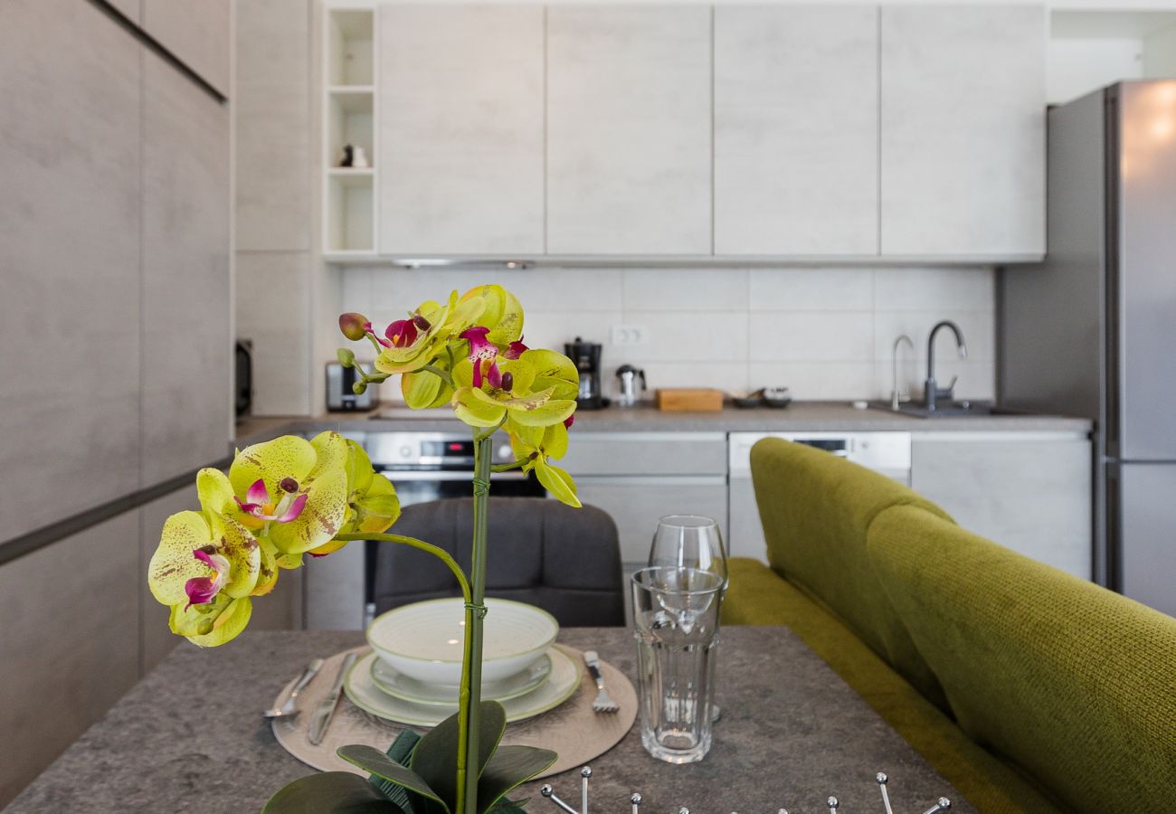 Apartment in Timisoara - Nord One Comfort