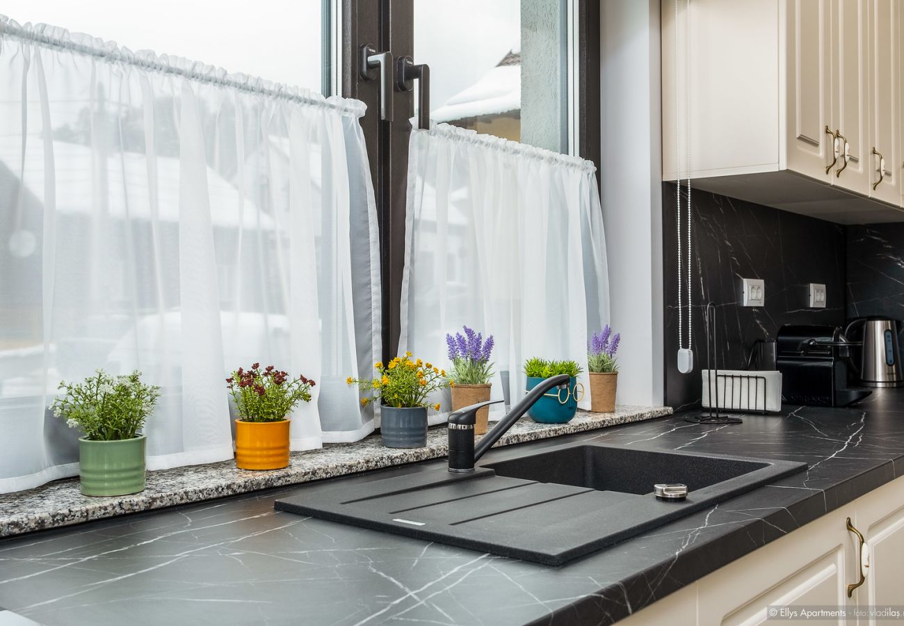 Apartment in Gura Humorului - Ellys Apartment