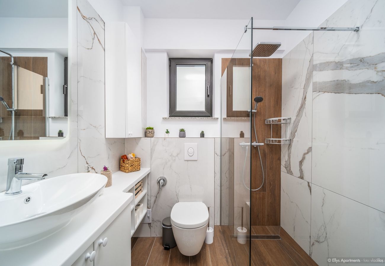 Apartment in Gura Humorului - Ellys 2BDR Apartment