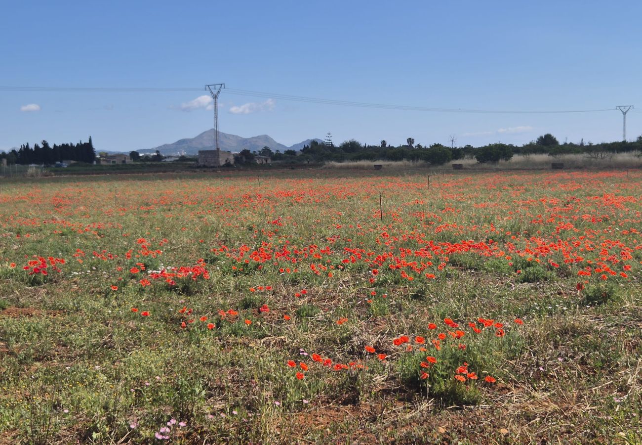 Villa in Muro - YourHouse Cas Padri, lovely country house with terrace, perfect for couples