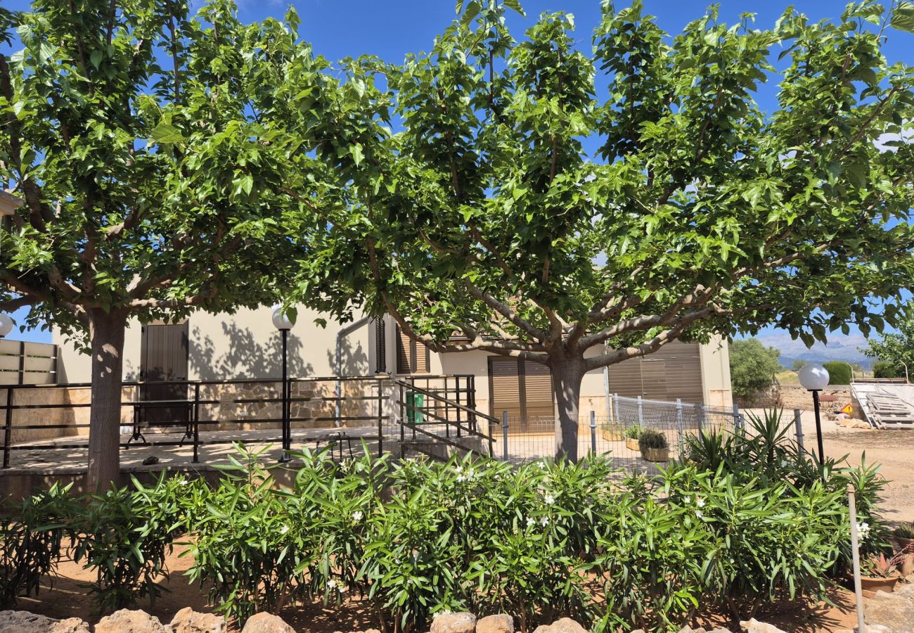 Villa in Muro - YourHouse Cas Padri, lovely country house with terrace, perfect for couples