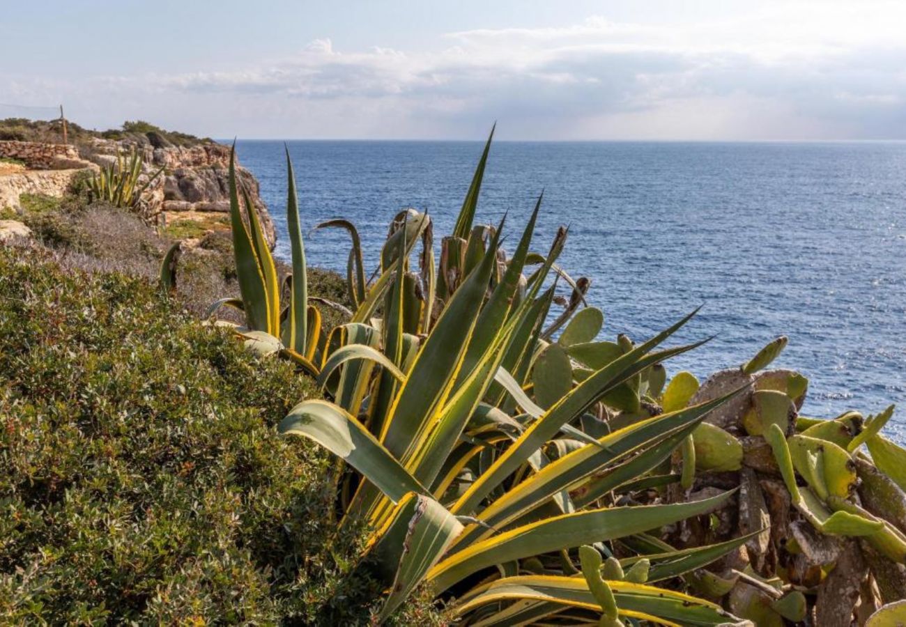 House in Felanitx - YourHouse Cala Serena beach houses