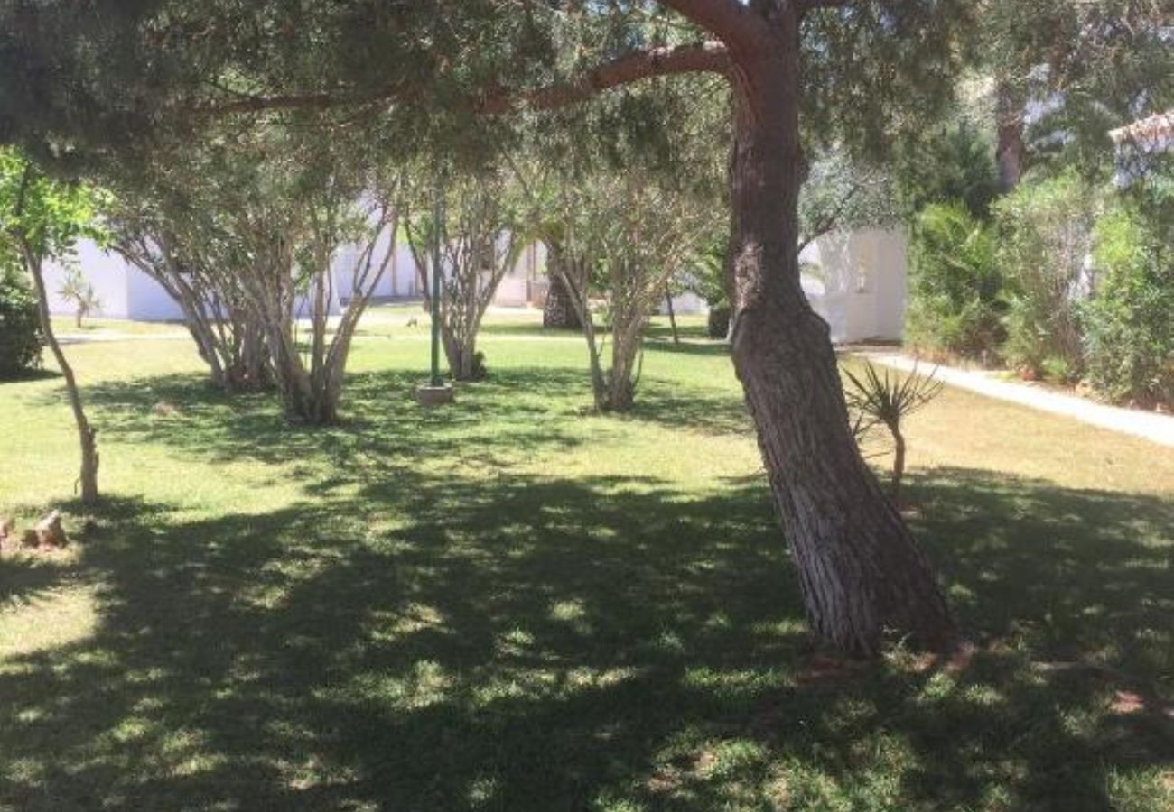 House in Felanitx -  YourHouse Cala Serena Beach 46