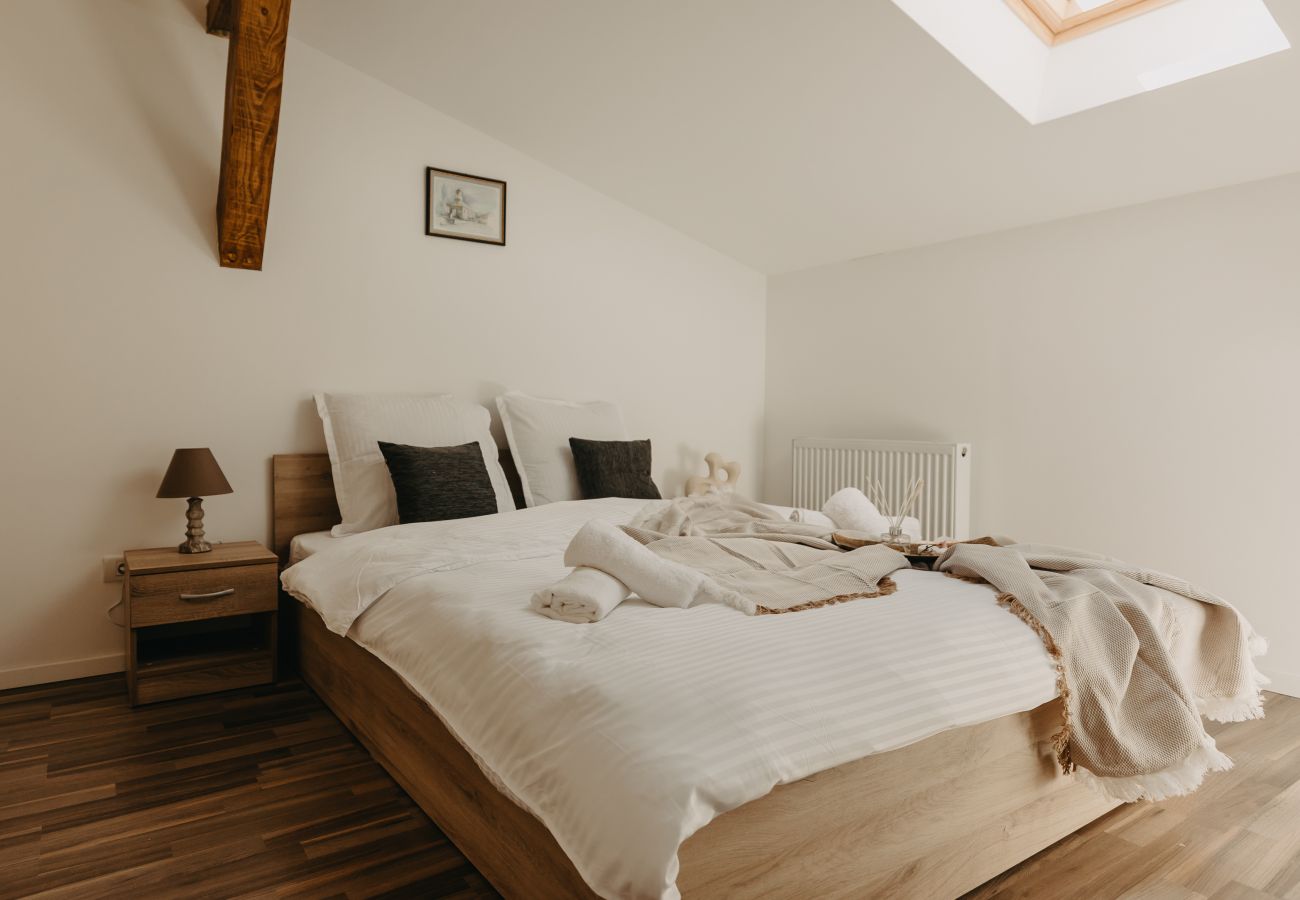 Studio in Timisoara - Agoston Galgon Holiday Apartments
