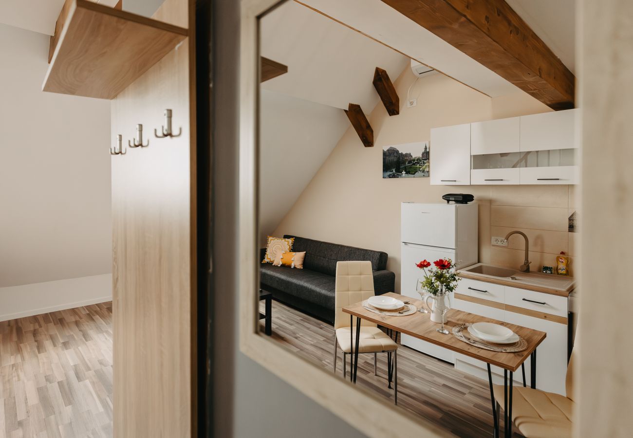 Studio in Timisoara - Agoston Galgon Holiday Apartments