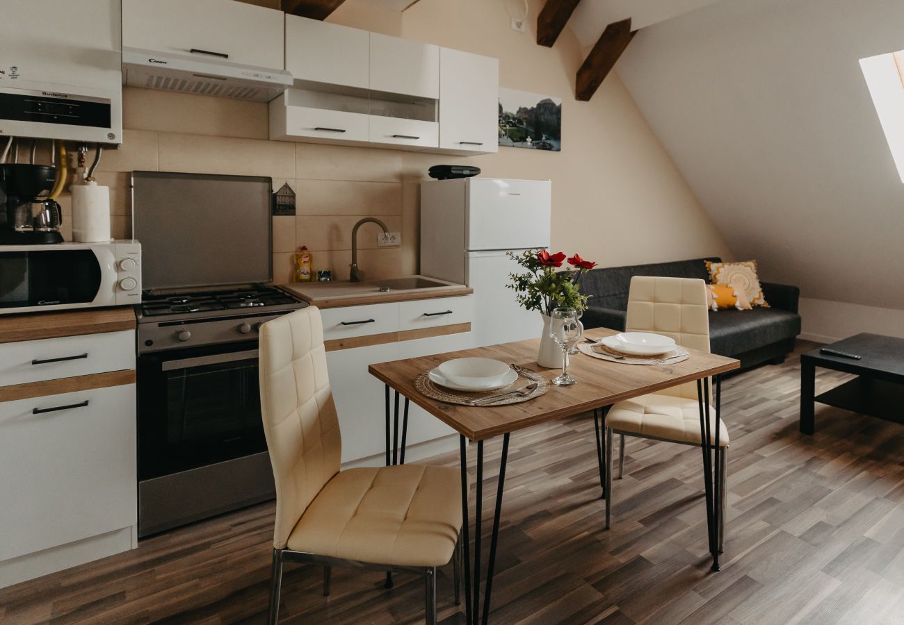 Studio in Timisoara - Agoston Galgon Holiday Apartments