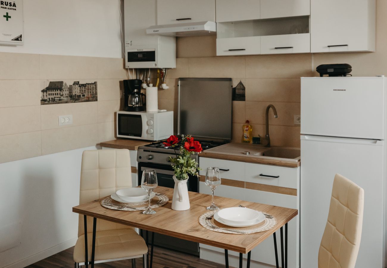 Studio in Timisoara - Agoston Galgon Holiday Apartments