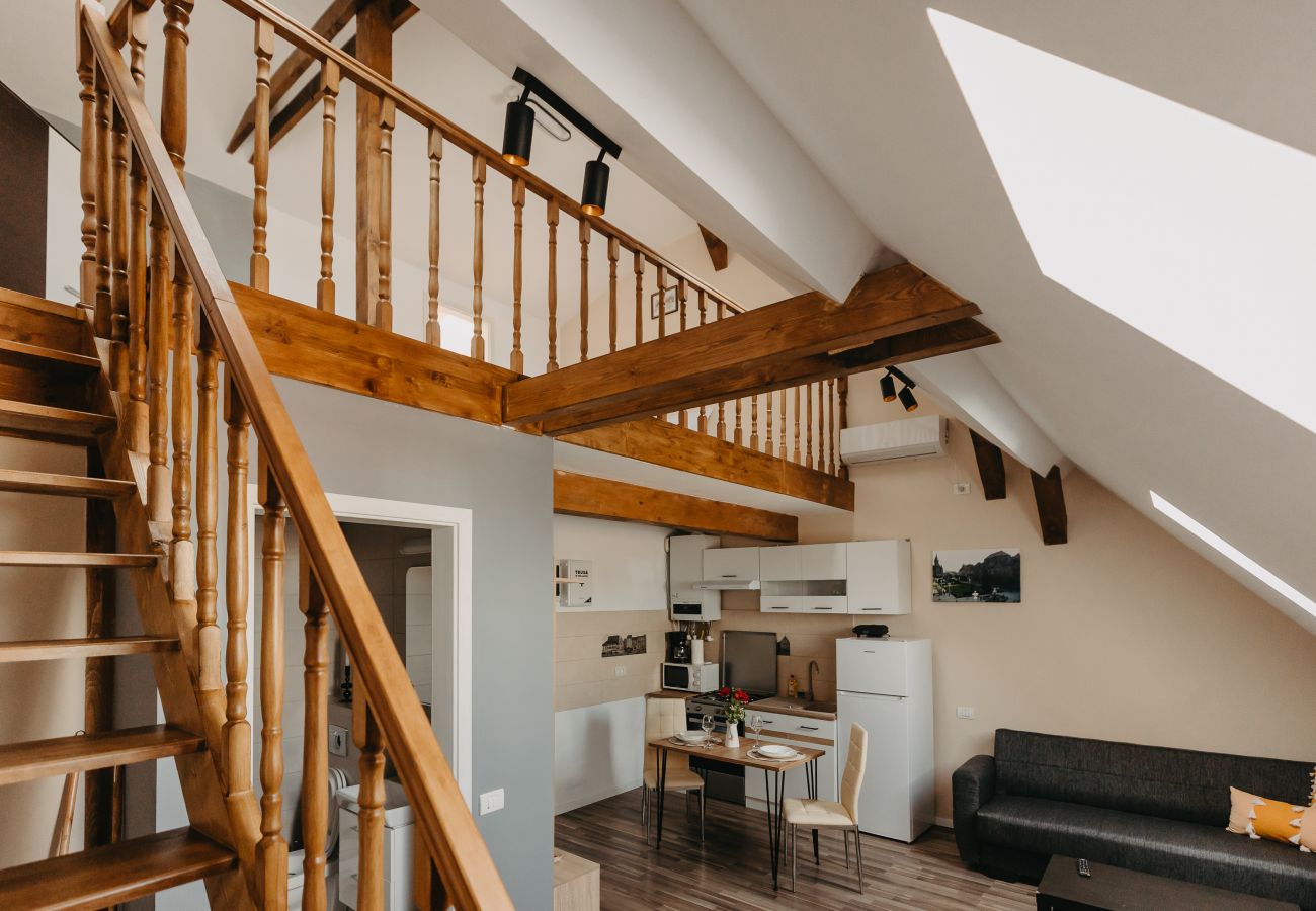 Studio in Timisoara - Agoston Galgon Holiday Apartments