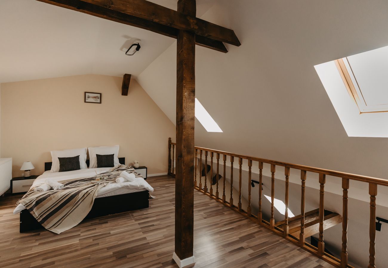 Studio in Timisoara - Agoston Galgon Holiday Apartments