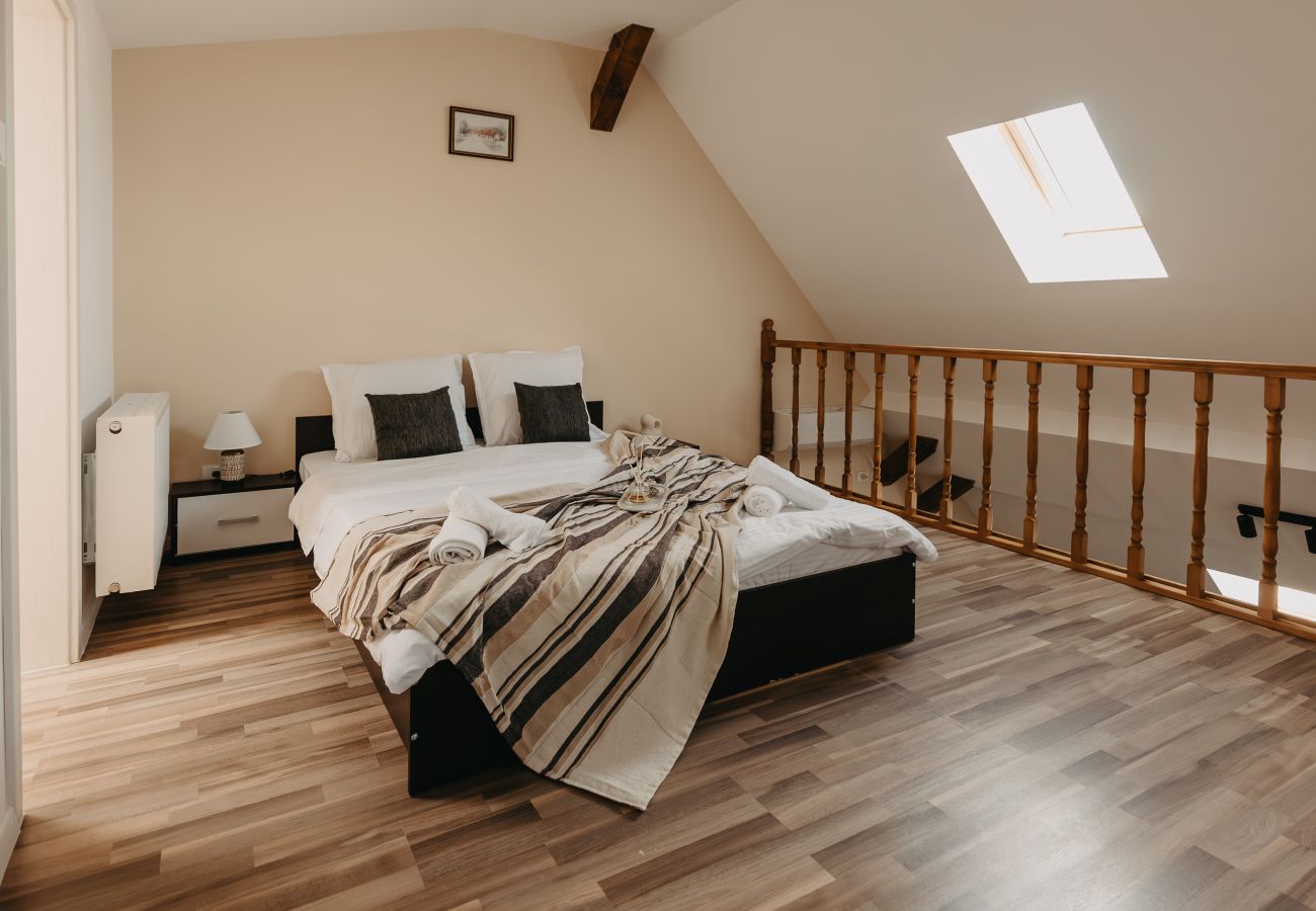 Studio in Timisoara - Agoston Galgon Holiday Apartments