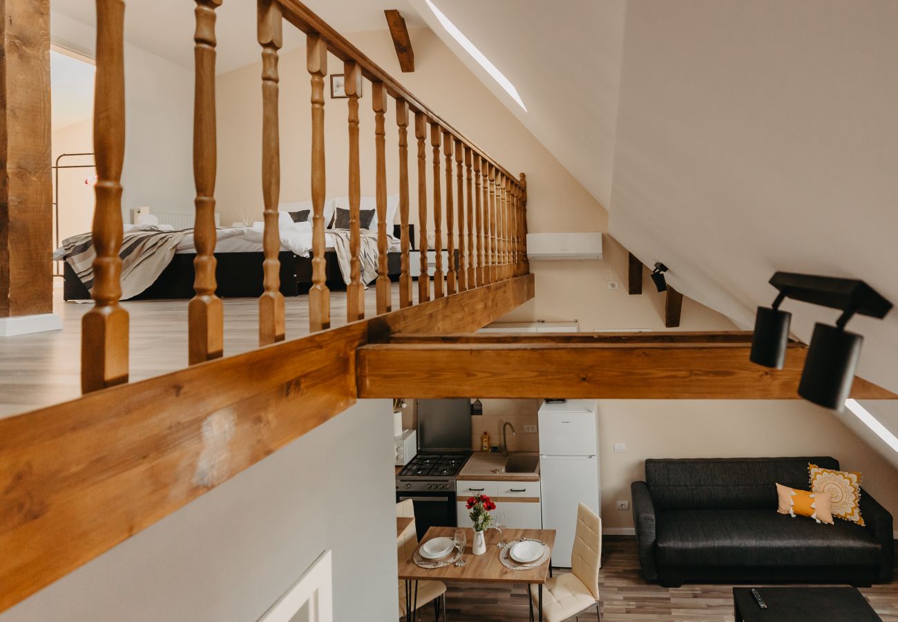 Studio in Timisoara - Agoston Galgon Holiday Apartments
