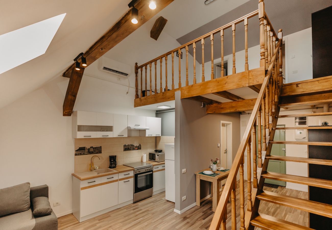 Studio in Timisoara - Agoston Galgon Holiday Apartments