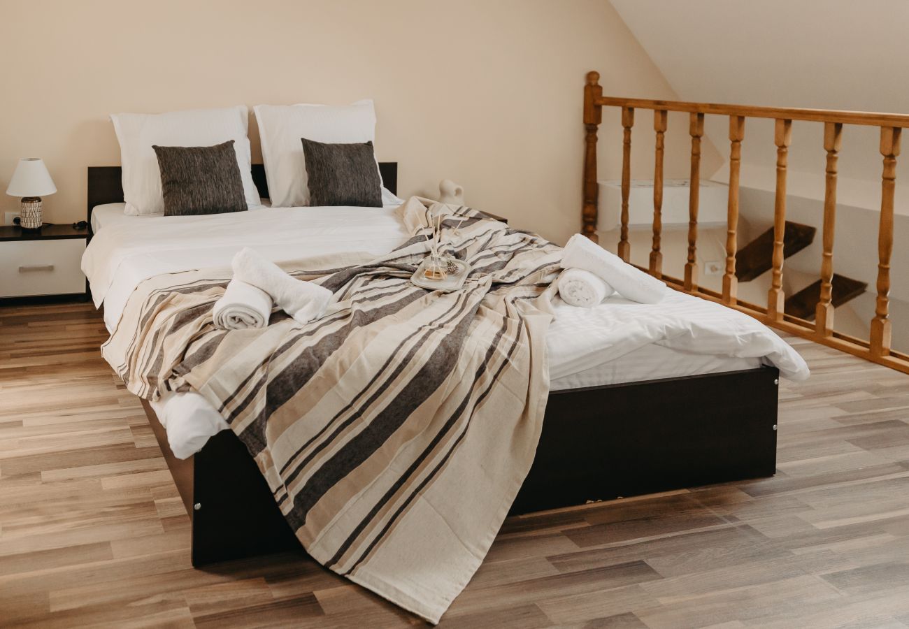 Studio in Timisoara - Agoston Galgon Holiday Apartments