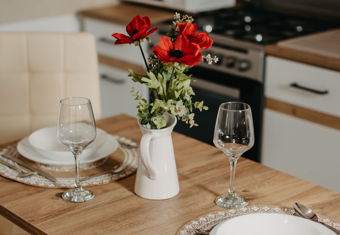 Studio in Timisoara - Agoston Galgon Holiday Apartments